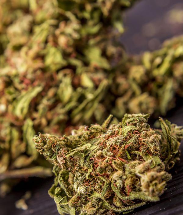 Melon Kush CBD CBWEED Cannabis Legale Light 5 g Mondocanapa