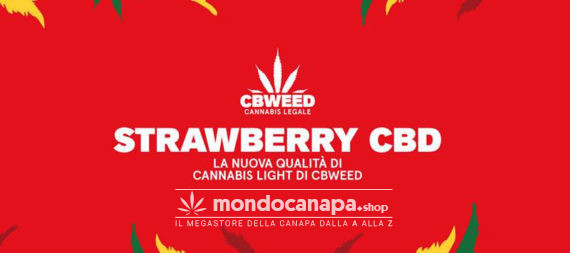 Strawberry CBD Cbweed Cannabis Light 2