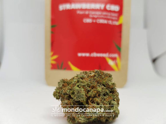 Strawberry CBD Cbweed Cannabis Light 2