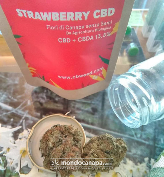 Strawberry CBD Cbweed Cannabis Light 4