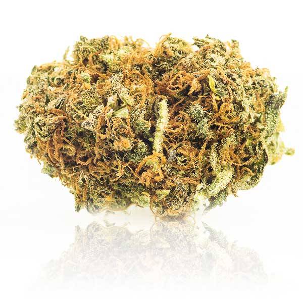 Cos'è l'erba legale o erba light e dove acquistarla - Cannabis Store  Moncalieri