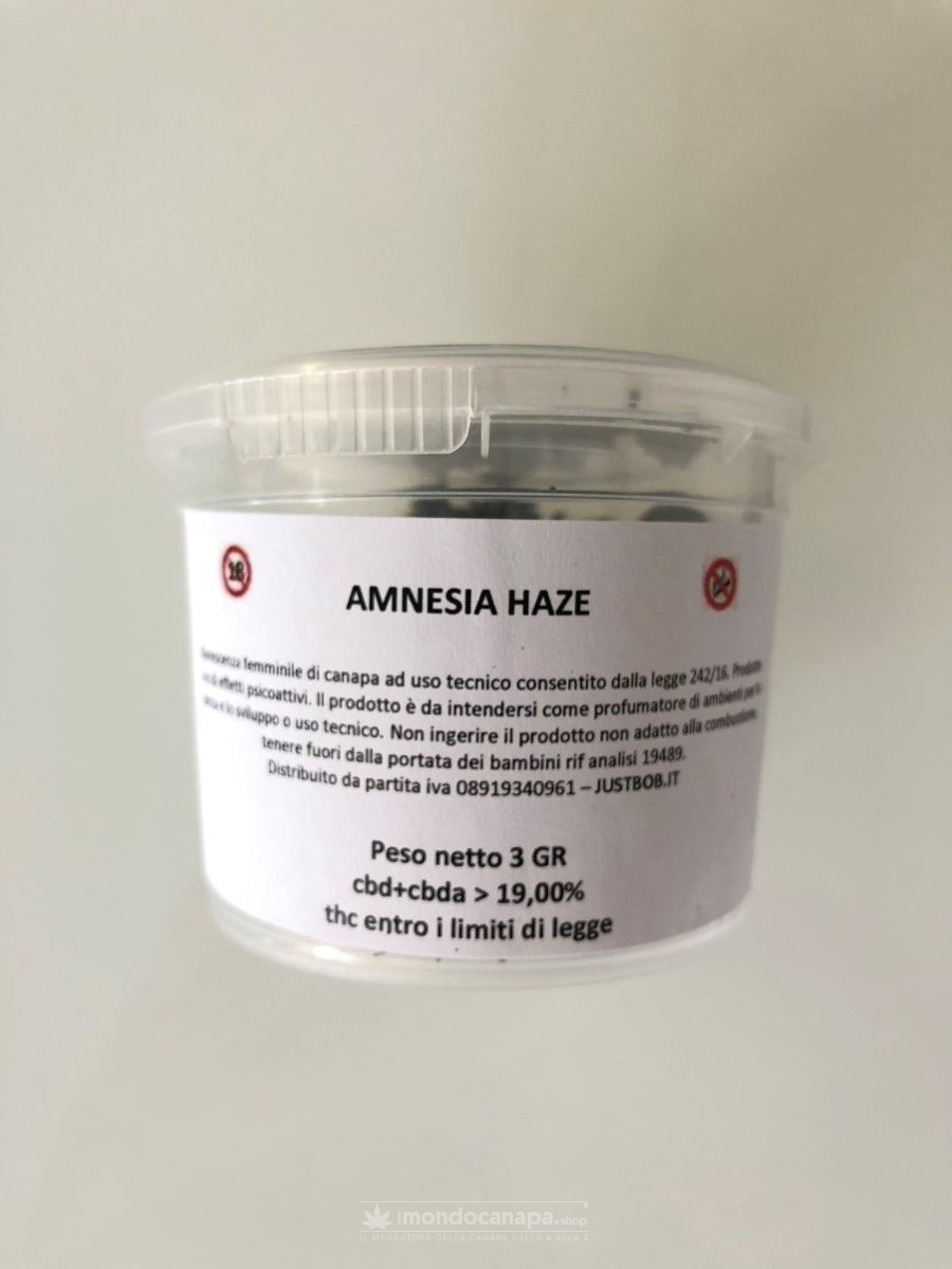 Cannabis legale Amnesia Haze CBD legale - L'erba proibita