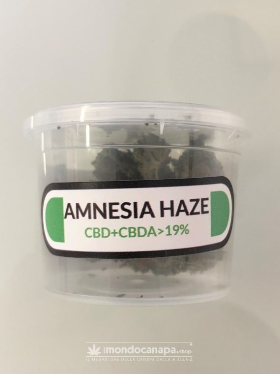 amnesia haze just bob