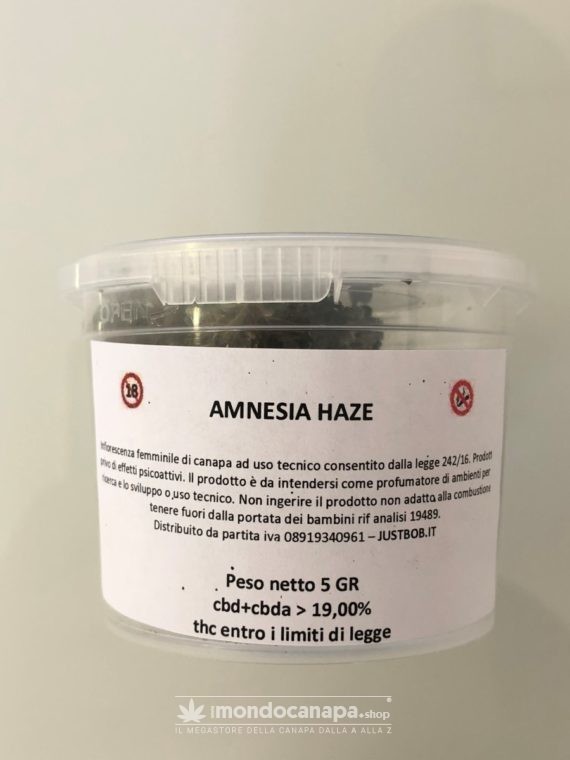 amnesia haze just bob
