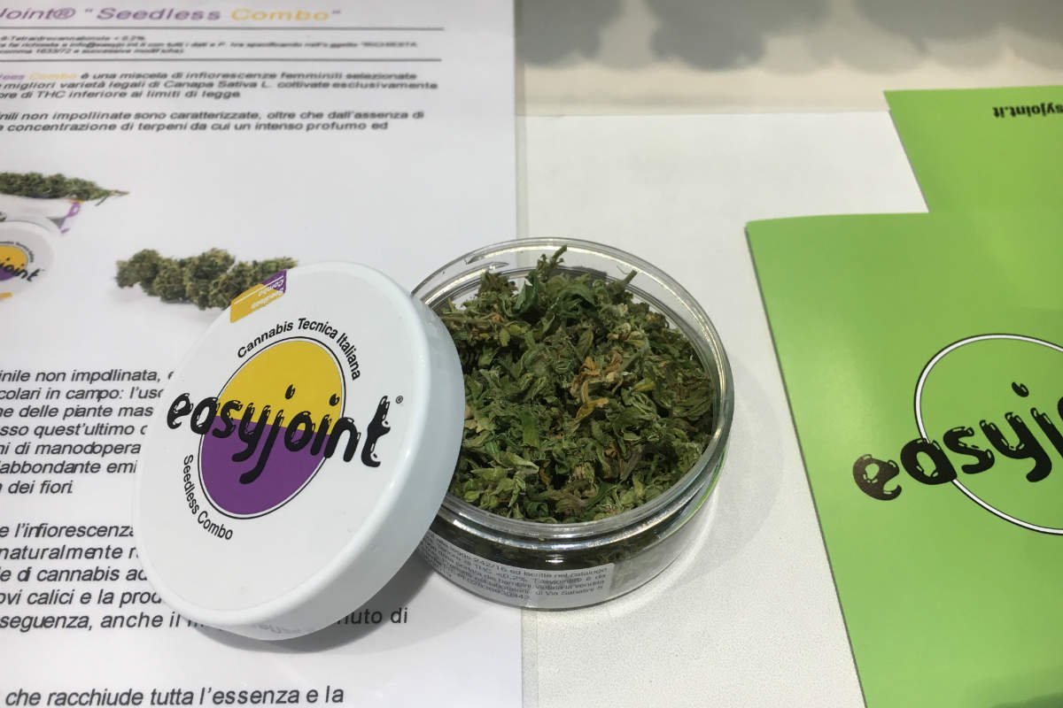 EasyJoint – Il primo produttore di cannabis light legale in italia