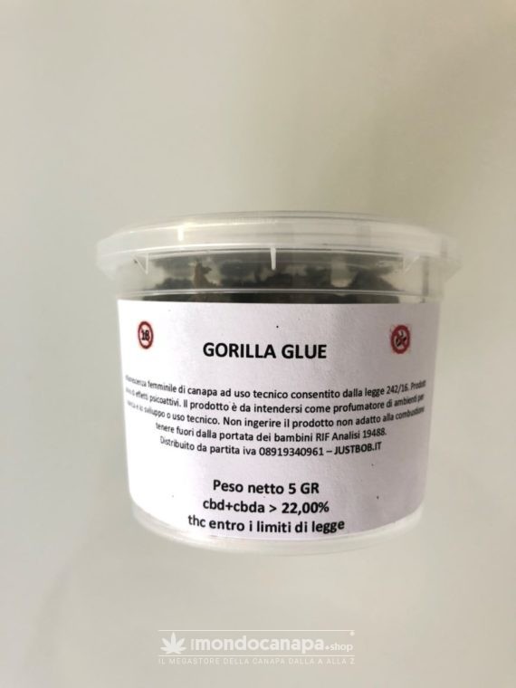 gorilla glue indoor